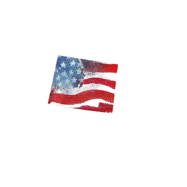 Watercolor Textured Flag Fabric Panel - Wyoming Online Sale