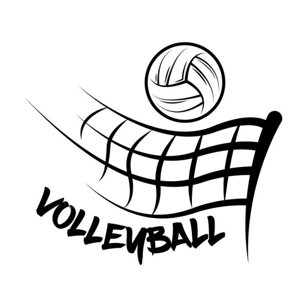 Volleyball Fabric Panel Online Sale
