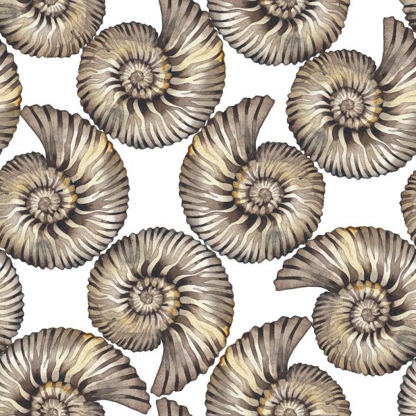 Watercolor Fossils Fabric - White Sale