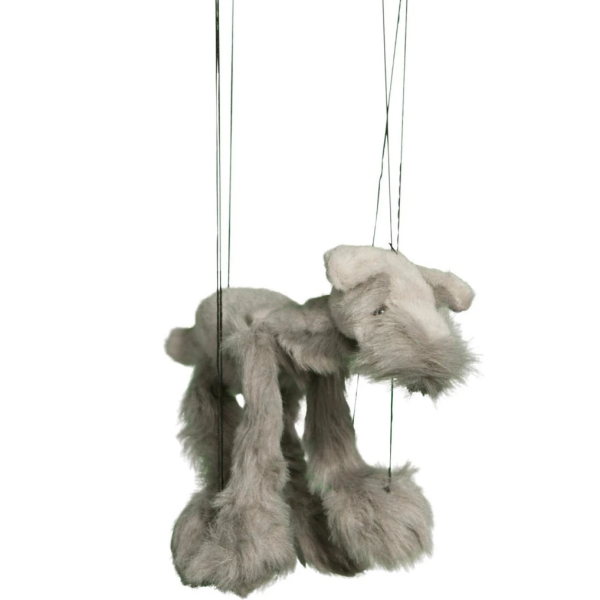 Marionette Small | Grey Schnauzer Dog Sale
